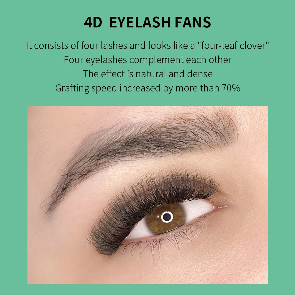 Glamlash ขนตาปลอมแบบพัดลมขนตาป - Eyelash Extension For Asian Eyes บทวิจารณ์และราคา